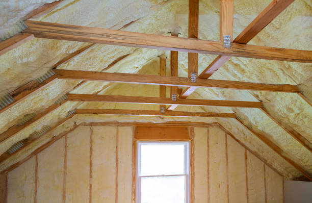 Best Garage Insulation Installation  in , FL