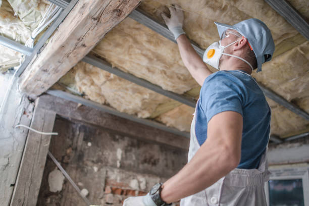 Best Insulation Inspection Services  in , FL